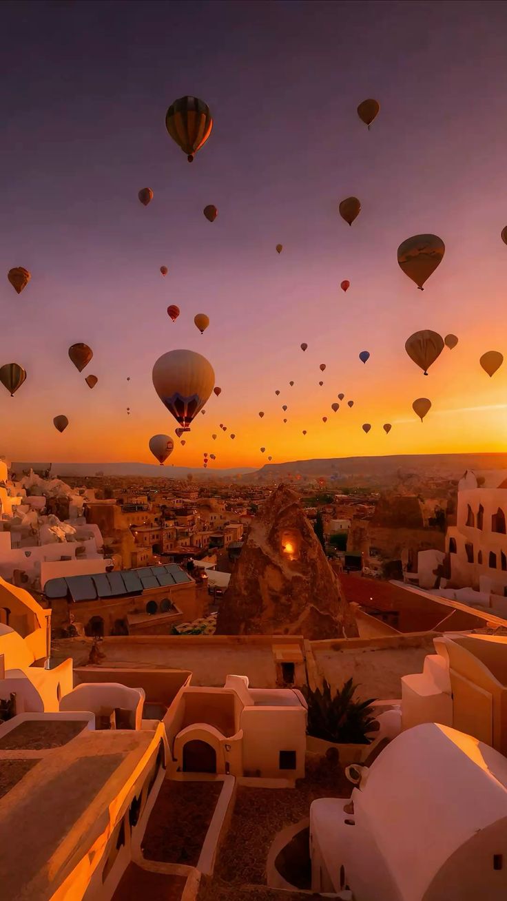 Travel